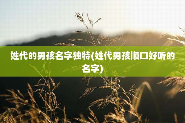 姓代的男孩名字独特(姓代男孩顺口好听的名字)