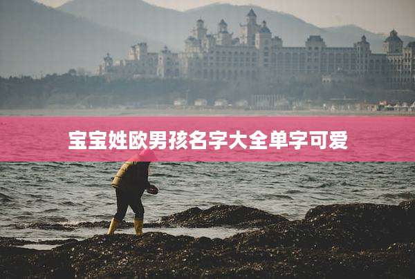 宝宝姓欧男孩名字大全单字可爱