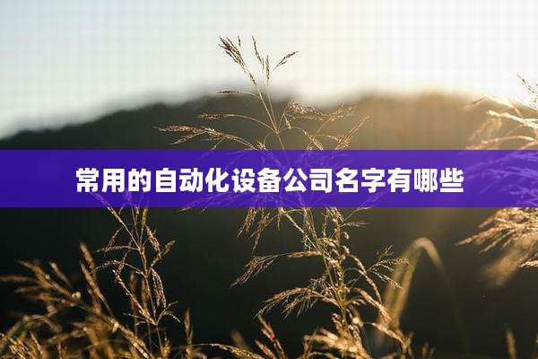 常用的自动化设备公司名字有哪些