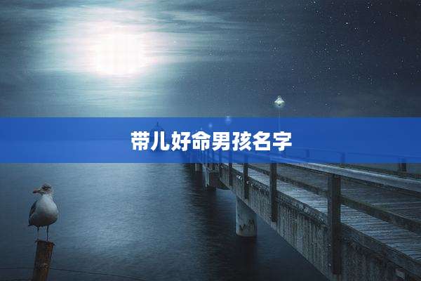 带儿好命男孩名字