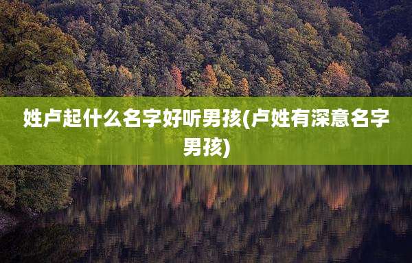 姓卢起什么名字好听男孩(卢姓有深意名字男孩)
