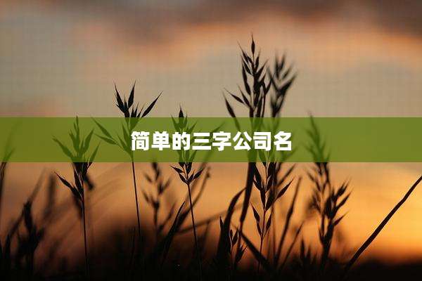 简单的三字公司名