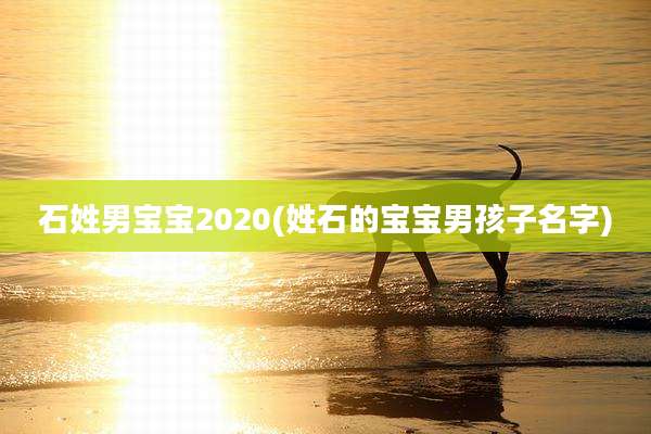 石姓男宝宝2020(姓石的宝宝男孩子名字)