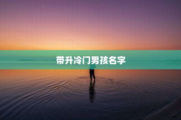 带升冷门男孩名字
