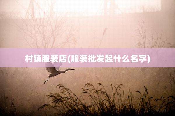 村镇服装店(服装批发起什么名字)