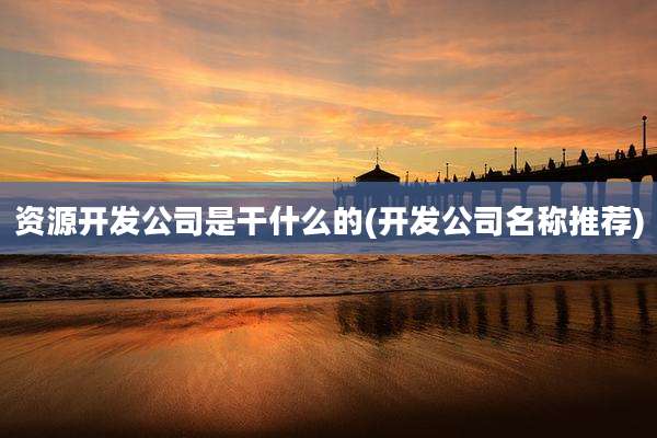 资源开发公司是干什么的(开发公司名称推荐)