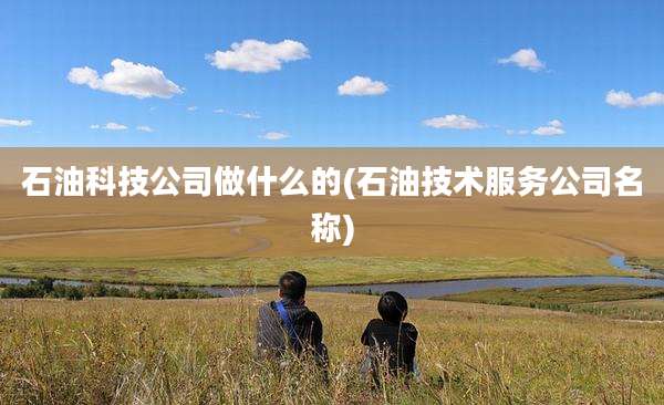 石油科技公司做什么的(石油技术服务公司名称)