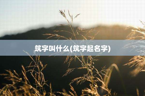 筑字叫什么(筑字起名字)