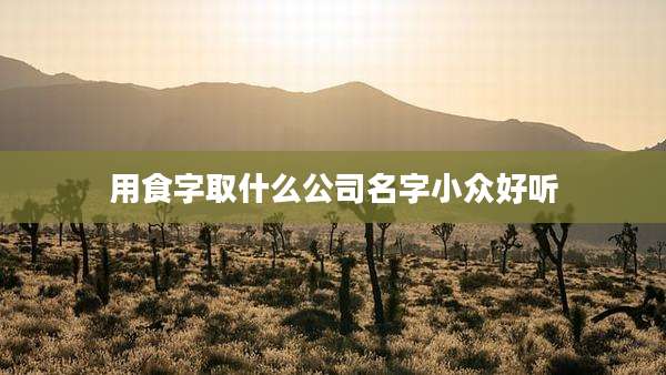 用食字取什么公司名字小众好听