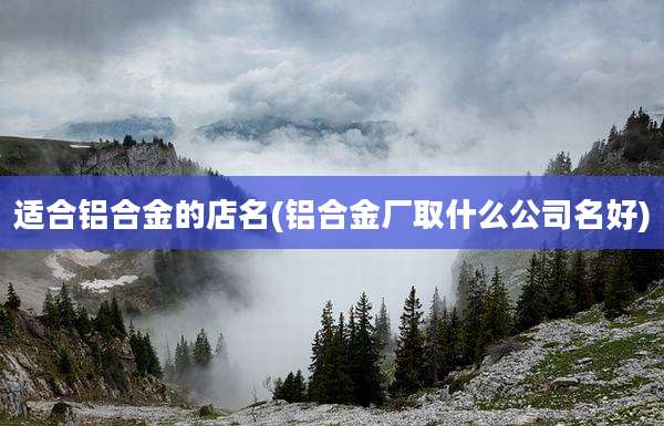 适合铝合金的店名(铝合金厂取什么公司名好)