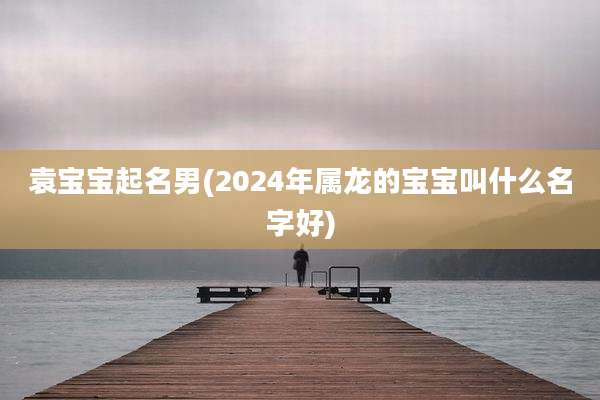 袁宝宝起名男(2024年属龙的宝宝叫什么名字好)