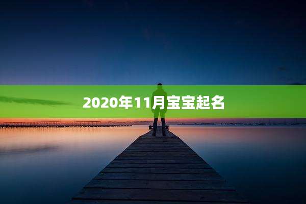 2020年11月宝宝起名