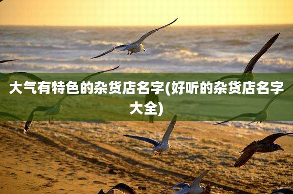 大气有特色的杂货店名字(好听的杂货店名字大全)