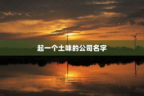 起一个土味的公司名字