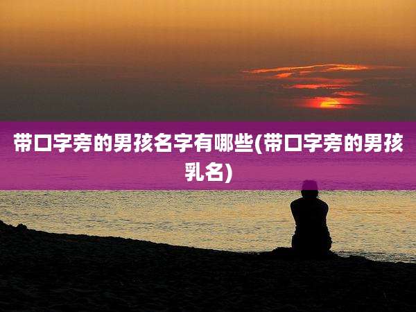带口字旁的男孩名字有哪些(带口字旁的男孩乳名)