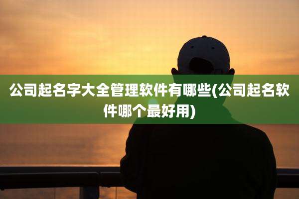 公司起名字大全管理软件有哪些(公司起名软件哪个最好用)