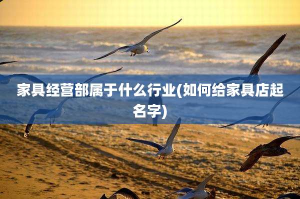 家具经营部属于什么行业(如何给家具店起名字)