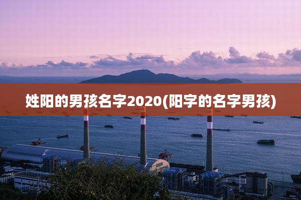 姓阳的男孩名字2020(阳字的名字男孩)