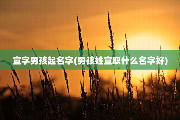 宣字男孩起名字(男孩姓宣取什么名字好)