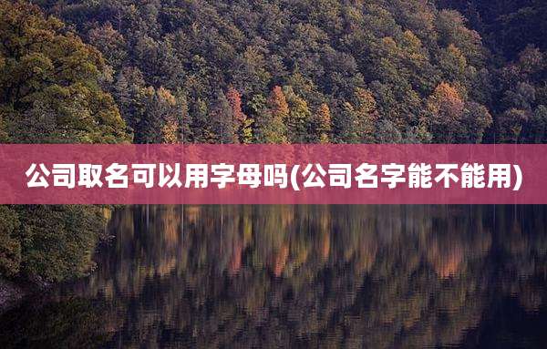 公司取名可以用字母吗(公司名字能不能用)