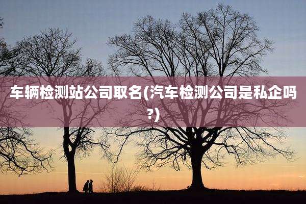车辆检测站公司取名(汽车检测公司是私企吗?)