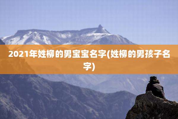 2021年姓柳的男宝宝名字(姓柳的男孩子名字)