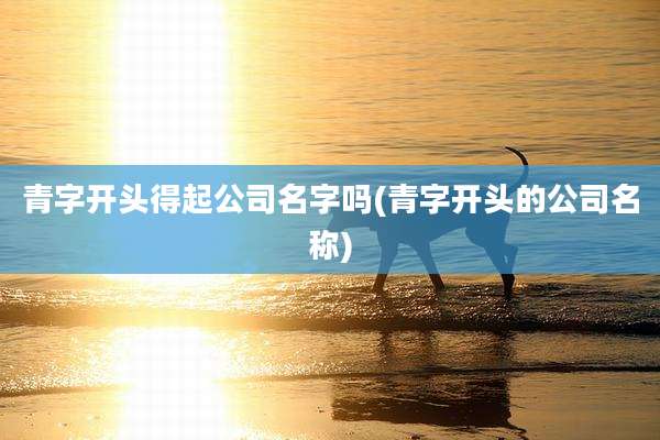 青字开头得起公司名字吗(青字开头的公司名称)