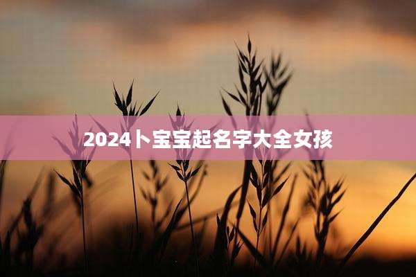 2024卜宝宝起名字大全女孩