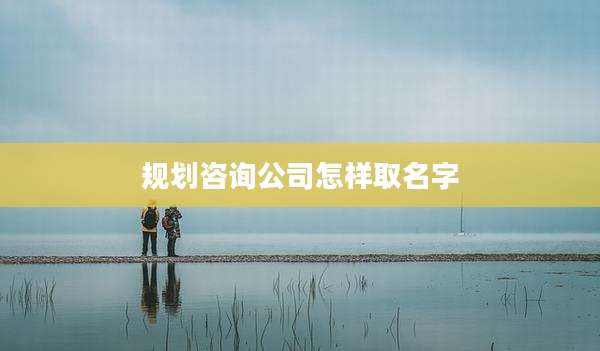 规划咨询公司怎样取名字