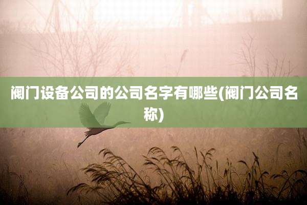 阀门设备公司的公司名字有哪些(阀门公司名称)
