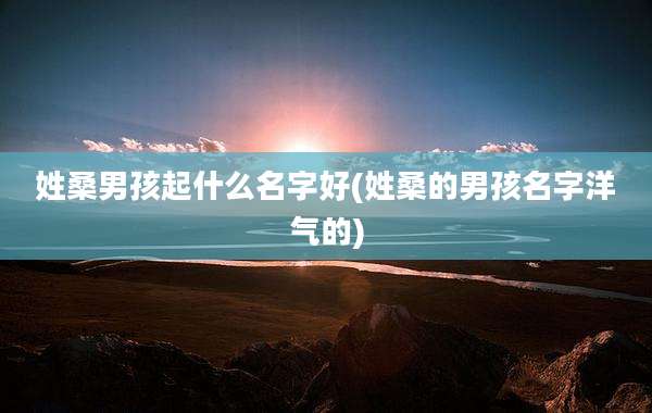 姓桑男孩起什么名字好(姓桑的男孩名字洋气的)