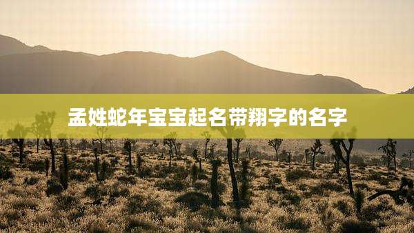 孟姓蛇年宝宝起名带翔字的名字