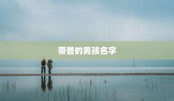 带誉的男孩名字