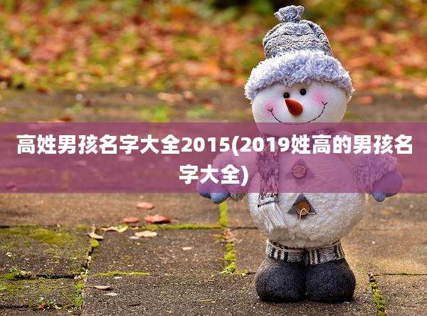 高姓男孩名字大全2015(2019姓高的男孩名字大全)