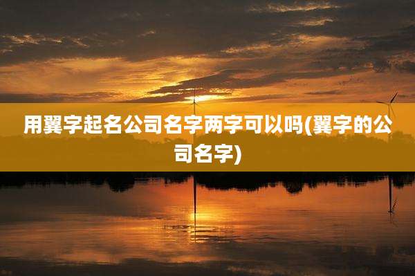 用翼字起名公司名字两字可以吗(翼字的公司名字)