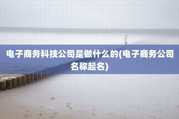 电子商务科技公司是做什么的(电子商务公司名称起名)