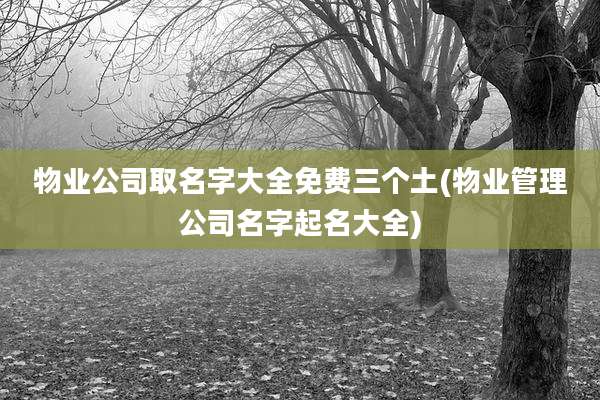 物业公司取名字大全免费三个土(物业管理公司名字起名大全)