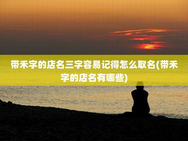带禾字的店名三字容易记得怎么取名(带禾字的店名有哪些)