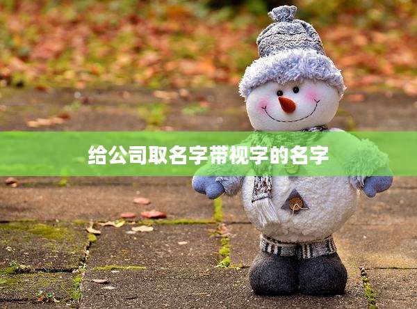 给公司取名字带视字的名字