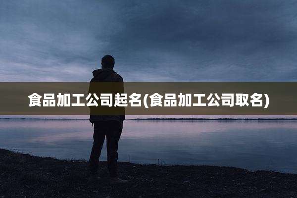 食品加工公司起名(食品加工公司取名)