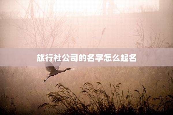 旅行社公司的名字怎么起名