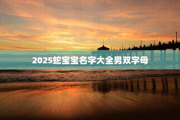 2025蛇宝宝名字大全男双字母