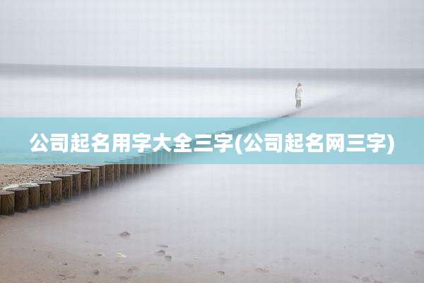 公司起名用字大全三字(公司起名网三字)