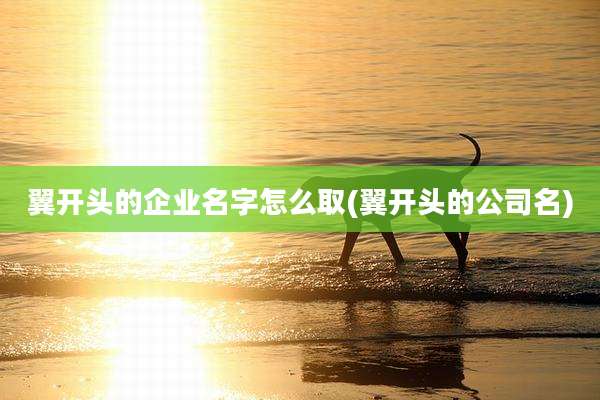 翼开头的企业名字怎么取(翼开头的公司名)