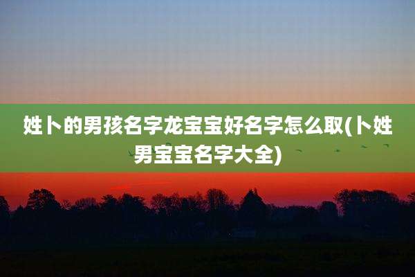 姓卜的男孩名字龙宝宝好名字怎么取(卜姓男宝宝名字大全)