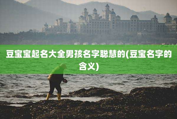豆宝宝起名大全男孩名字聪慧的(豆宝名字的含义)