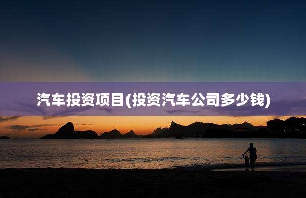 汽车投资项目(投资汽车公司多少钱)