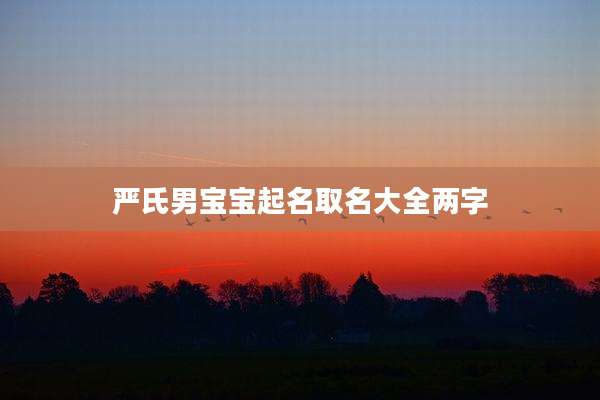 严氏男宝宝起名取名大全两字