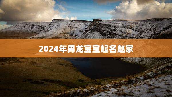 2024年男龙宝宝起名赵家