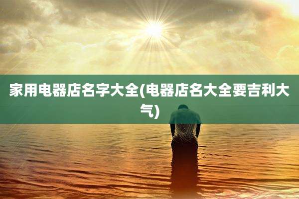 家用电器店名字大全(电器店名大全要吉利大气)